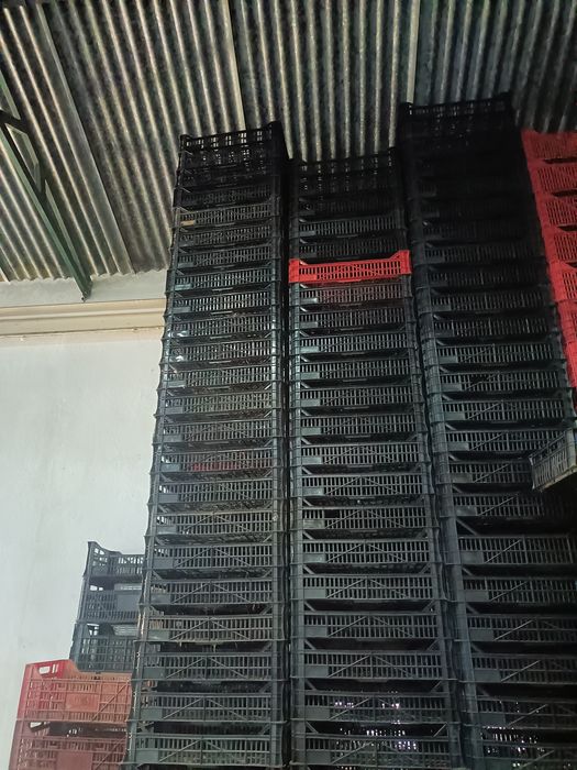 Vende-se caixas de plástico vários tamanhos.  Para desocupar