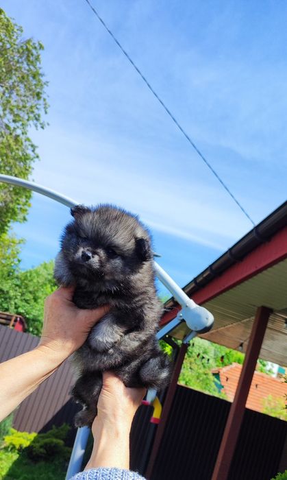 Дівчинка та хлопчик ! Красунчики