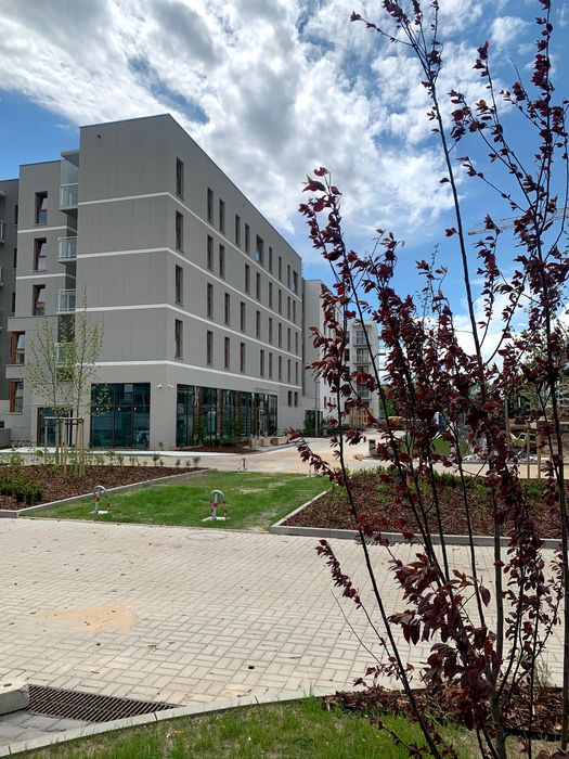 Gabinet dla psychoterapeuty ul. Racławicka