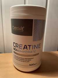 Kreatyna Monohydrate 500g wiśnia