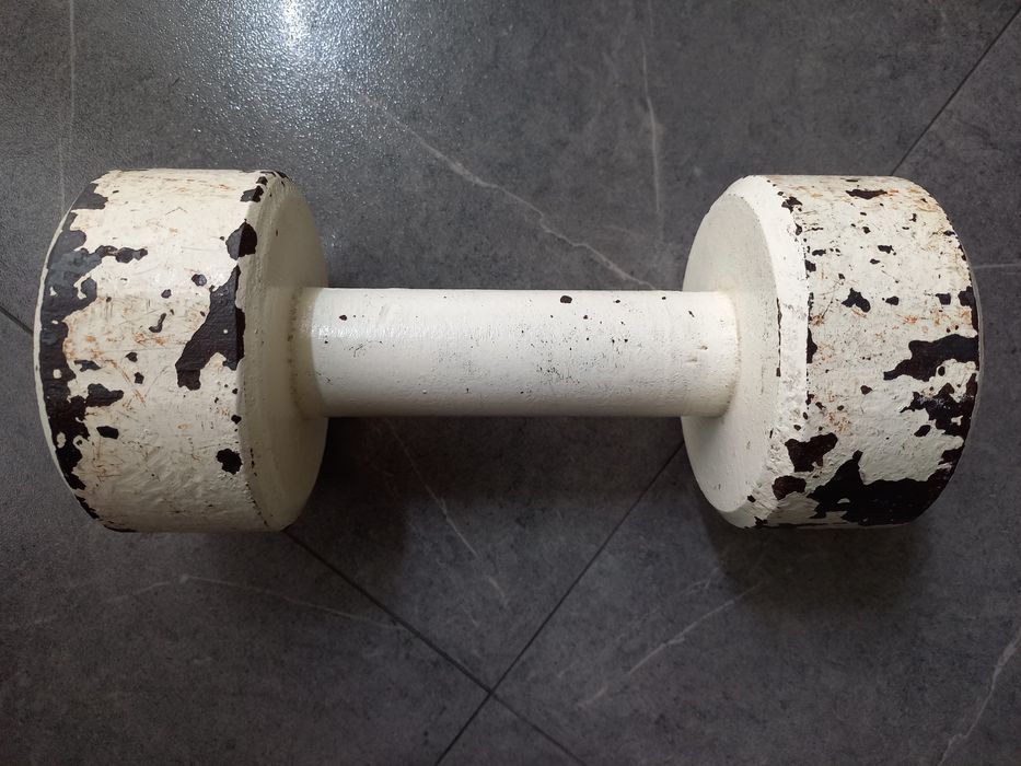 Продам сталеву гантелю 10 кг в Дніпрі