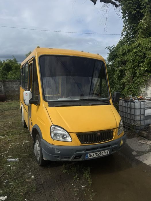 БАЗ дельфін 1000$