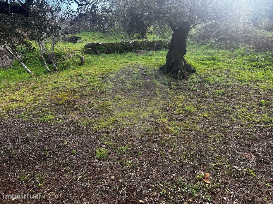 Terreno  para venda