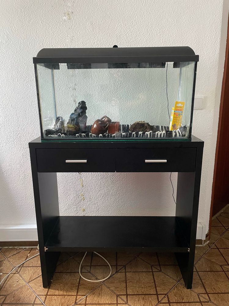 Aquário 100L com móvel e elementos decorativos