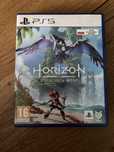 Horizon forbidden west (polska wersja)