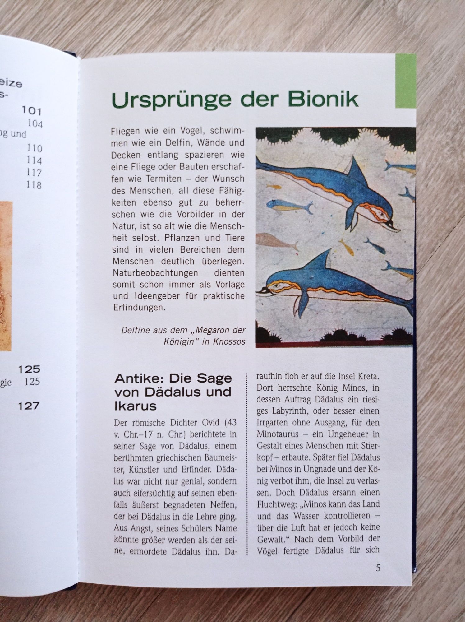 Bionika. Wissen leicht gemacht