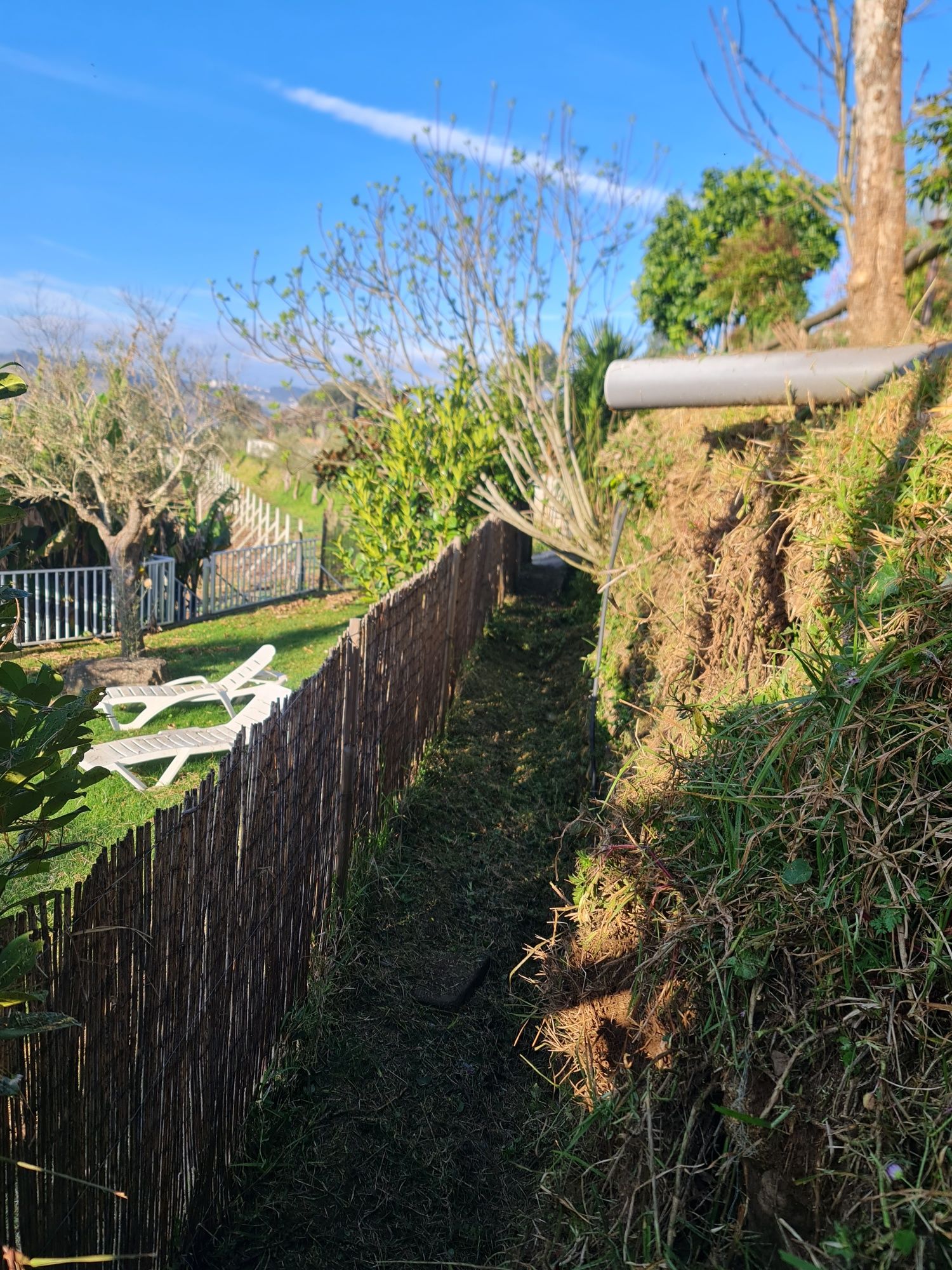 Serviços de JARDINAGEM