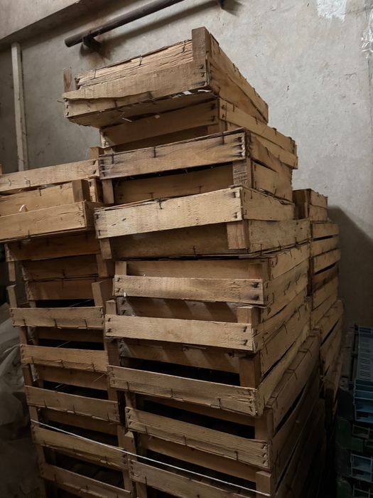 Skrzynki drewniane idealne do rzodkiewki