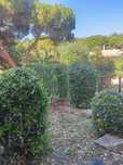 Limpeza de jardins e quintais