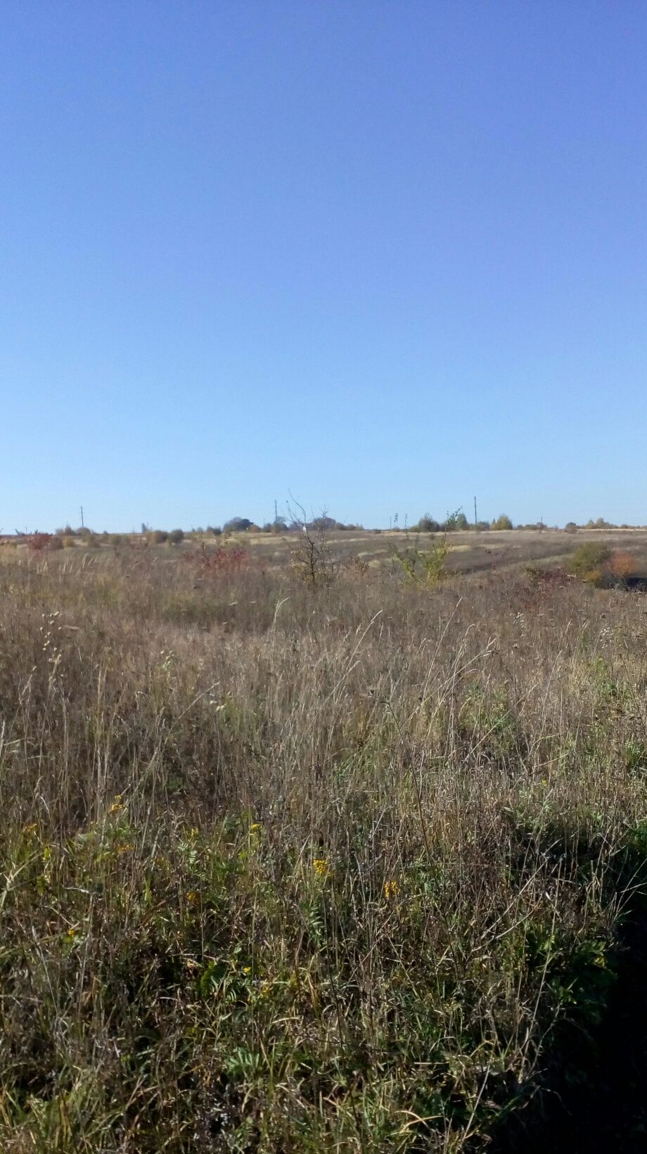 Земельна ділянка під будівництво.