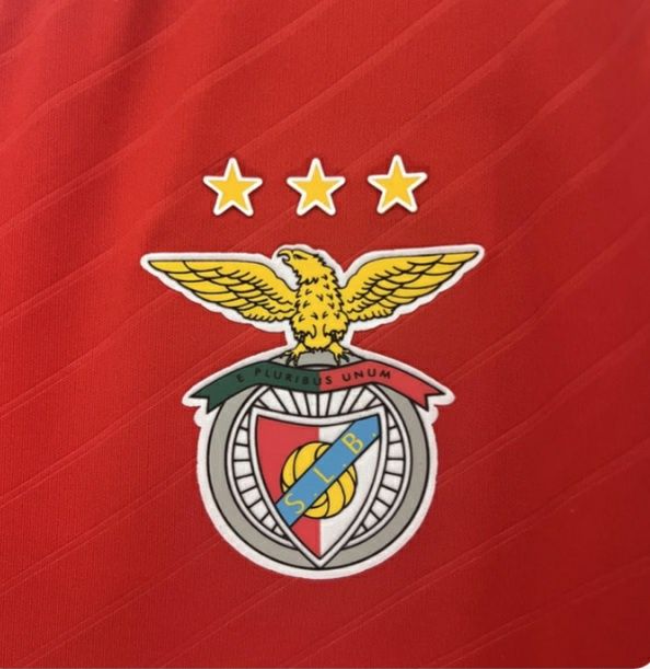 Camisola Benfica todos os tamanhos