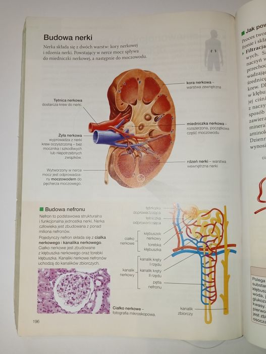 Biologia na czasie 2