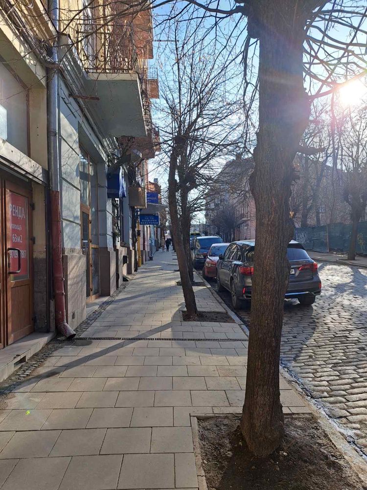 3 х кім квартира  в Центрі (вул. І. Франка)