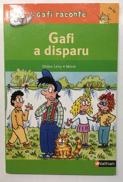 Livro (Francês) – Gafi a disparu !