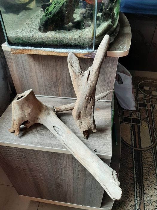 Продам коряги в аквариум.