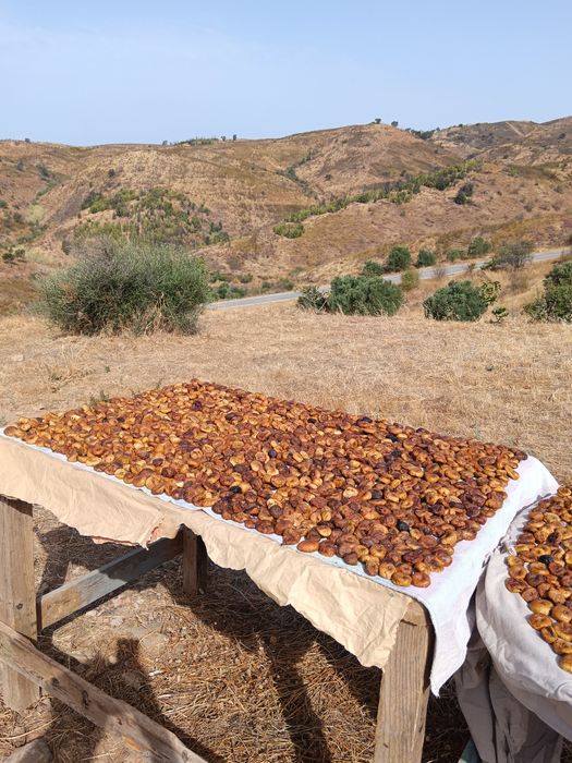 Figo seco da serra de Tavira