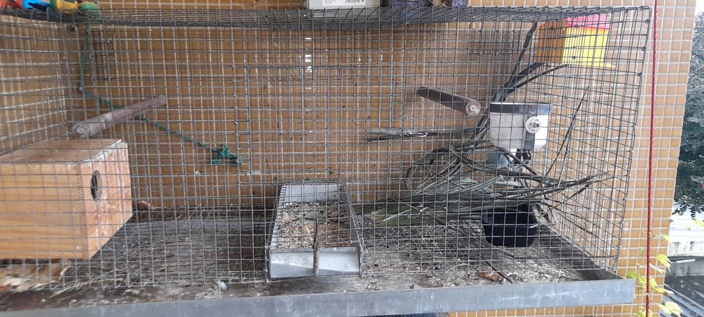 Para cedência casal