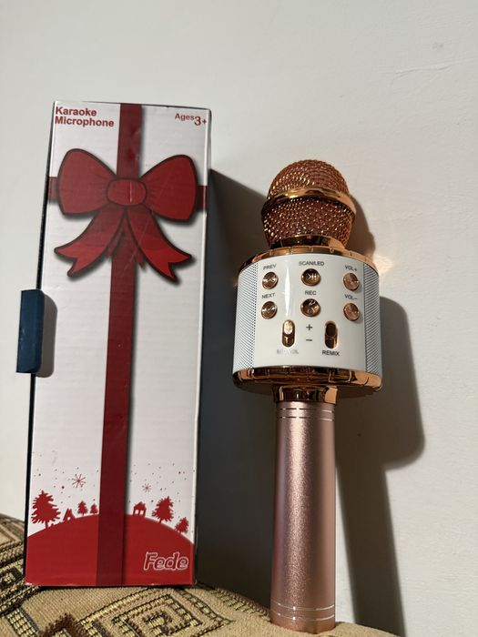 Мікрофон караоке