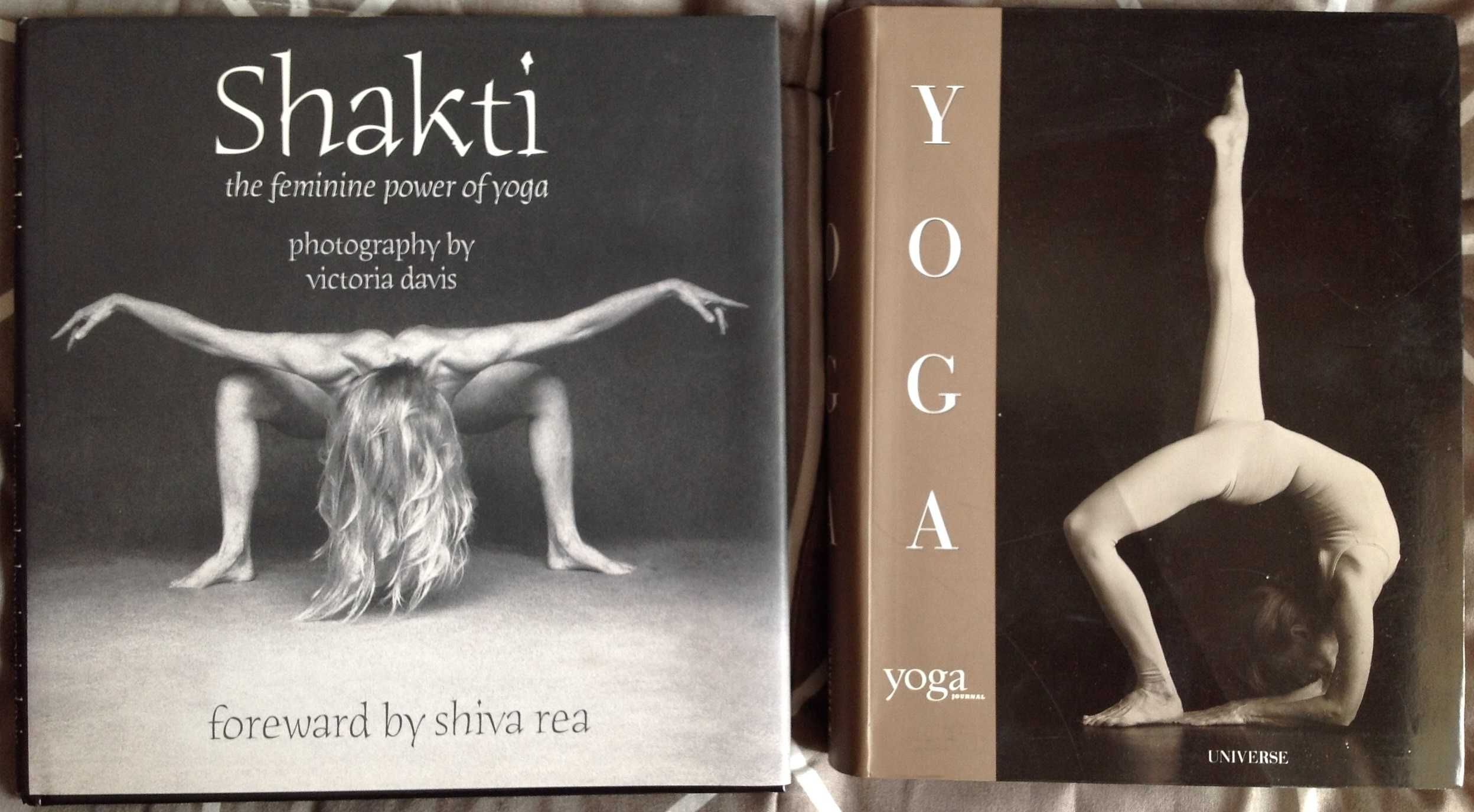 Yoga Livros com técnicas e imagens