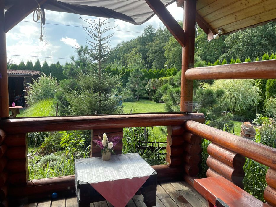 Działka ROD w Opalenicy 600m2 z domem z bali