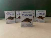 Cálcio para tartarugas
