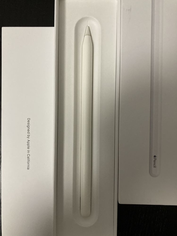 Apple pencil  2a geração-  nova