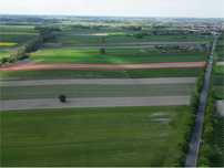 Działka rolna w Łosicach - 13 384 m2 przy trasie Lubelskiej