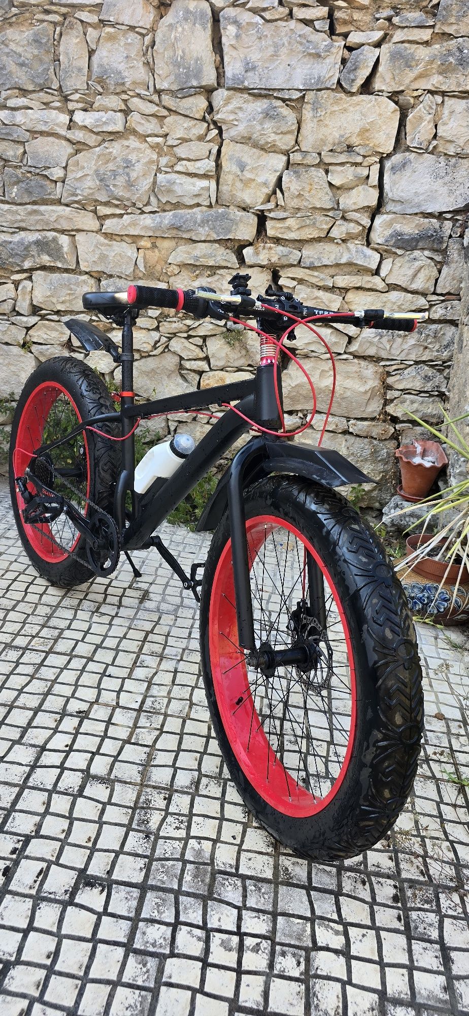 Bicicleta com pneu 4.0