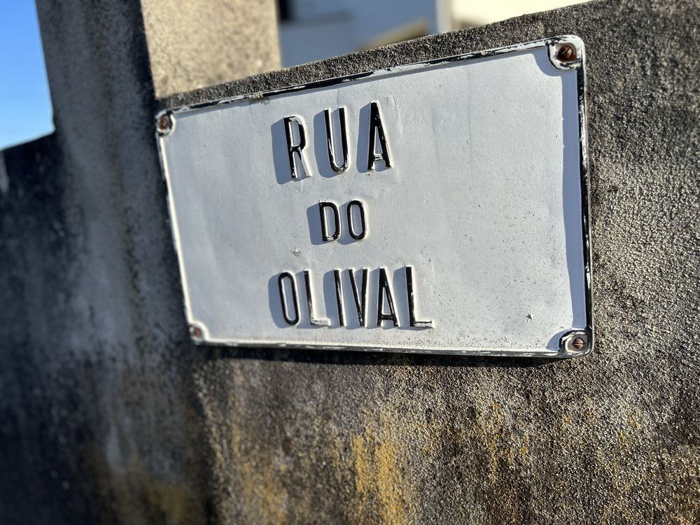 Terrenos Urbanos - Rua Olival Cascalheira - Vale de Açores - Mortágua