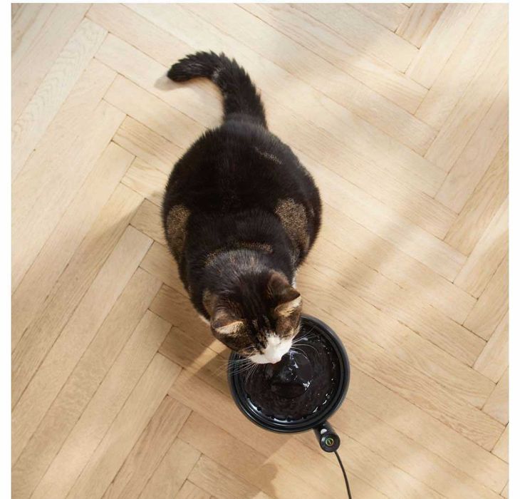 podajnik PHILIPS pet dla PSA i kota  zdrowa oczyszczona woda strumyk