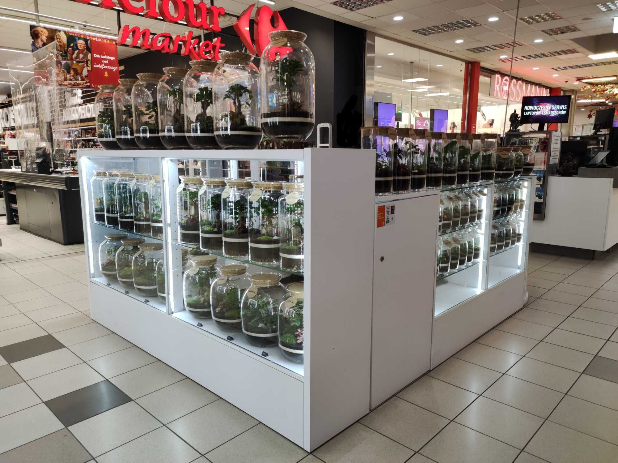 Las w szkle, słoiku, podziękowanie dla rodziców, las na Ślub - CHORZÓW