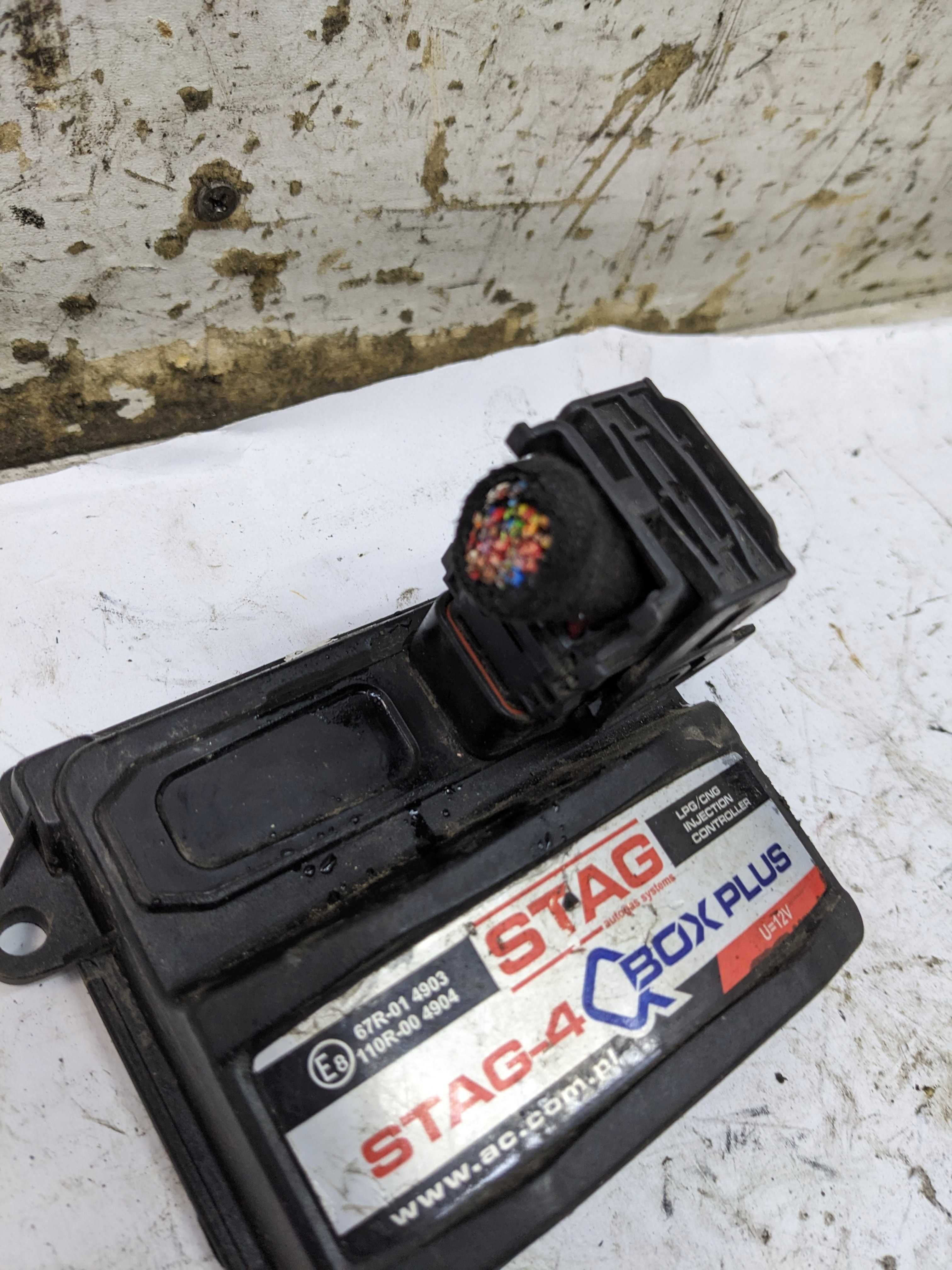Sterownik Gazu LPG CNG STAG-4 Qbox Basic 4 CYL