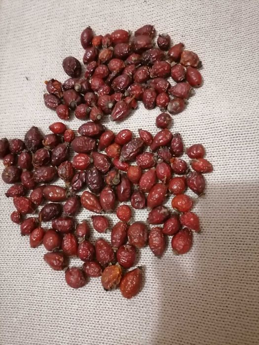 груша лимонка   еко