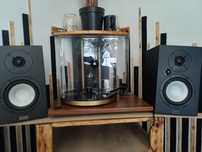Magnat Monitor 220