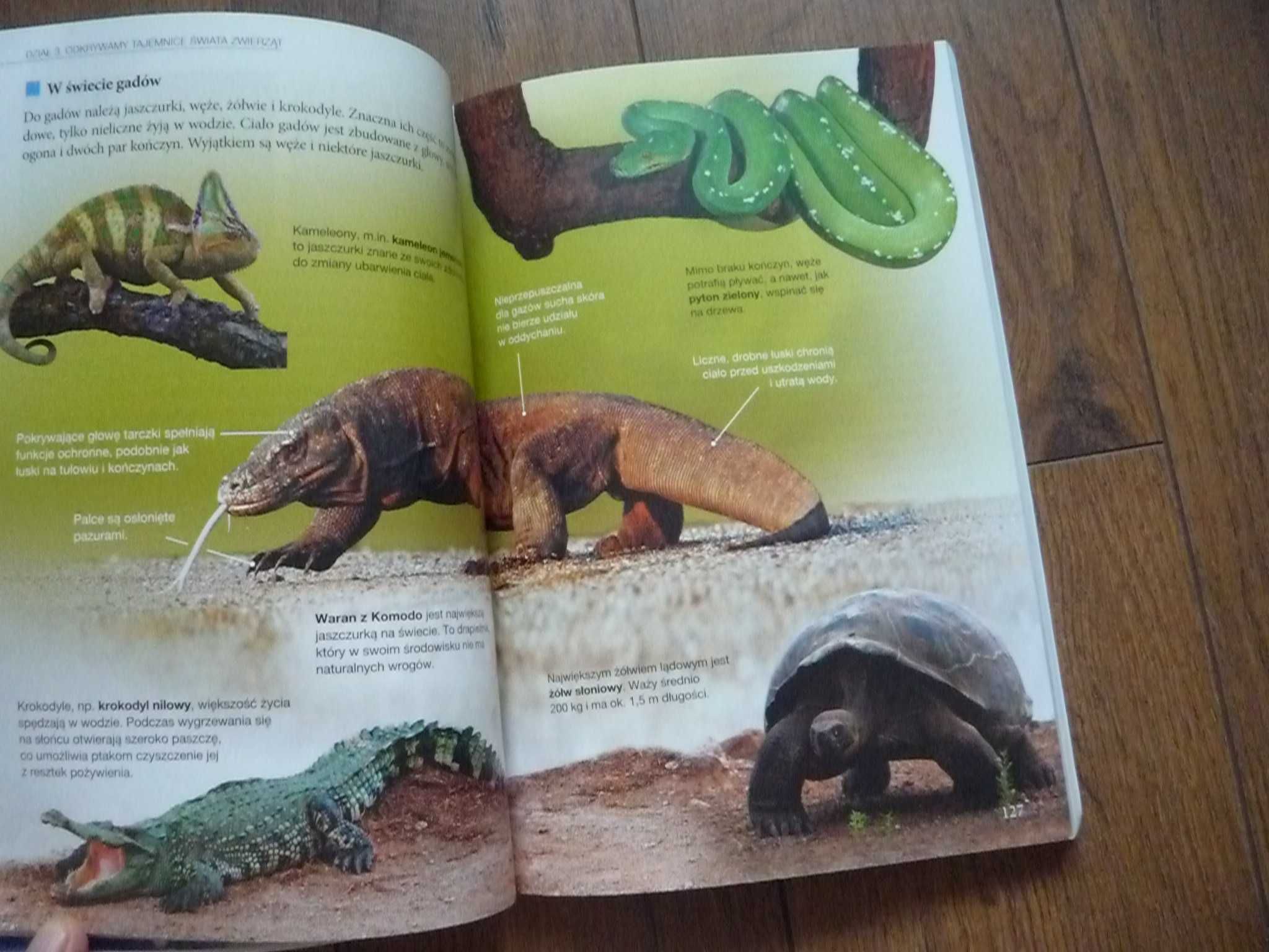 Podręcznik Tajemnice przyrody. Przyroda. Klasa 6 Nowa Era