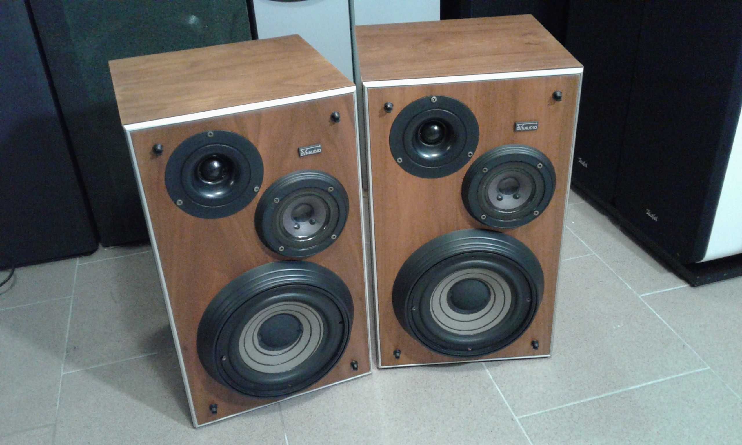DYNAUDIO P-16,kolumny głośnikowe