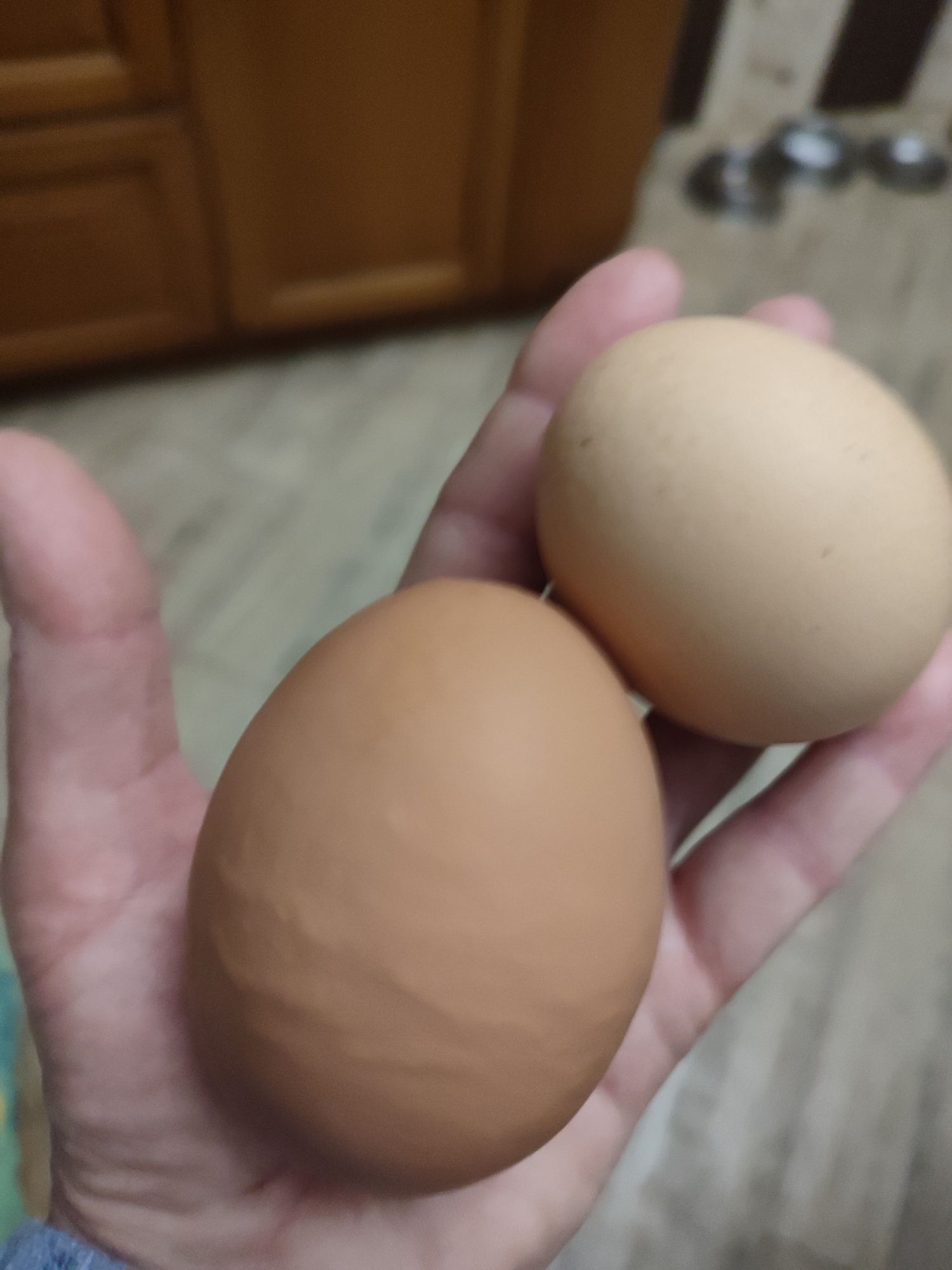 Яйця домашні натуральні диєтичні