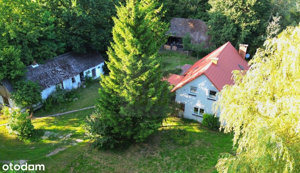 Siedlisko 30 min. od Warszawy,działka 33 000m2