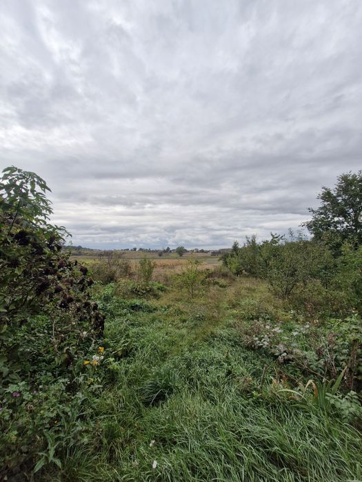 Продається будинок в с. Стара Котельня.