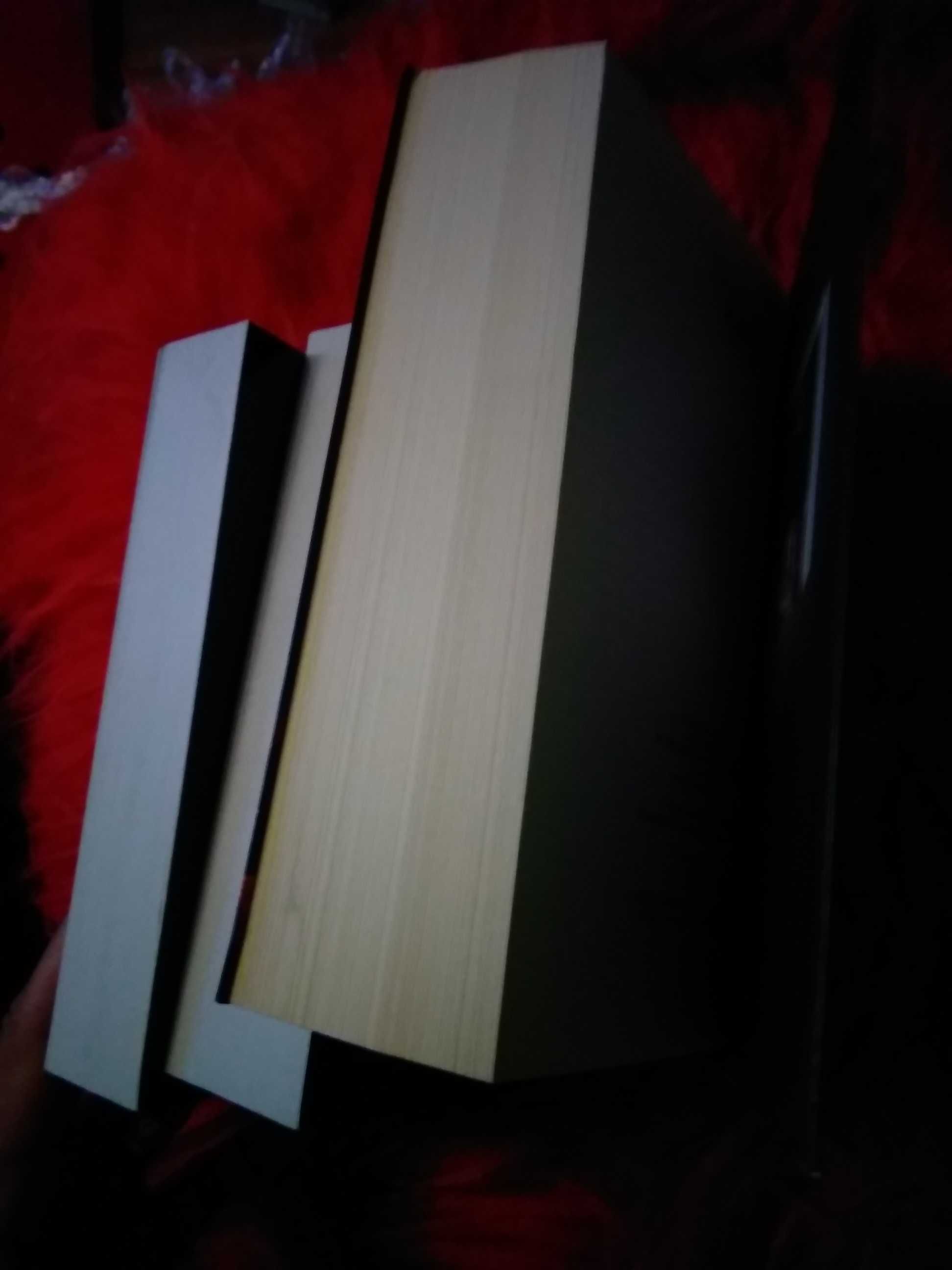 Sylvain Reynard Piekło Gabriela trylogia