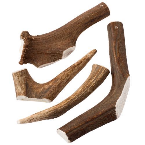 Gryzaki dla psa z poroża