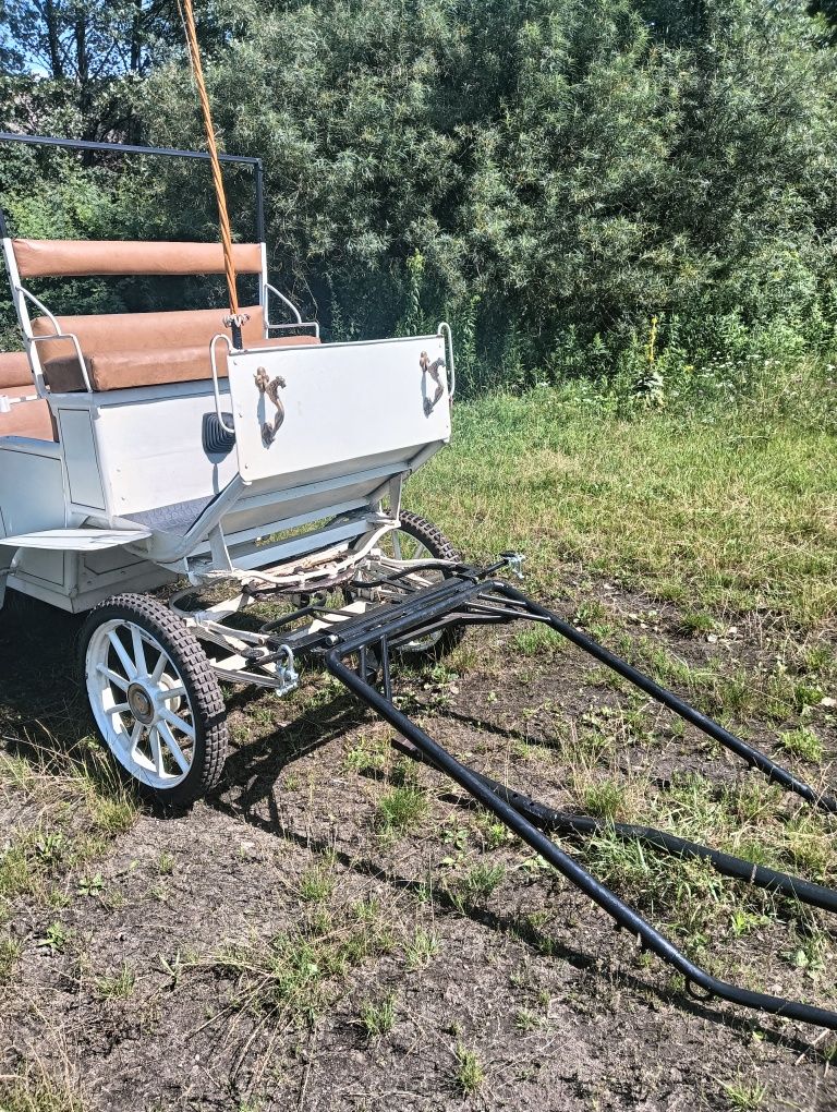 Bryczka powóz na jednego i parę koni
