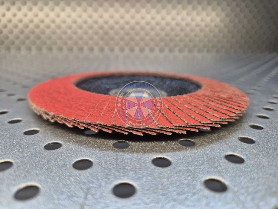 10 x gr120 Tarcza Listkowa ceramiczna 125mm lamelka ceramiczna 120