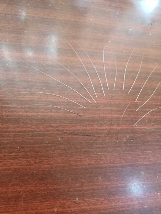 Усы кошачьи вибриссы 17 шт