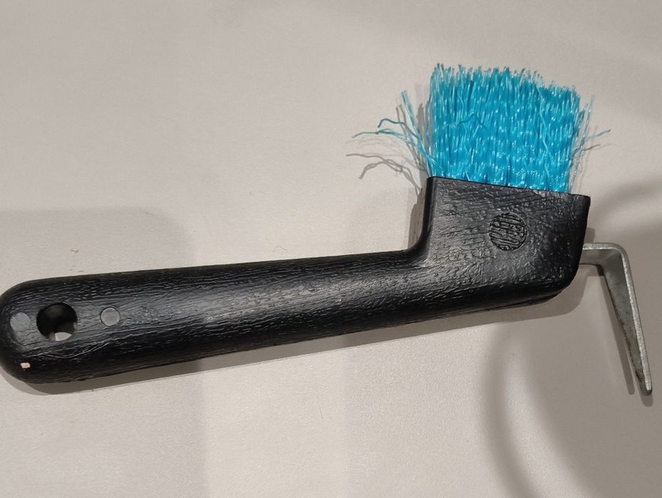 Kopystka czarno niebieska