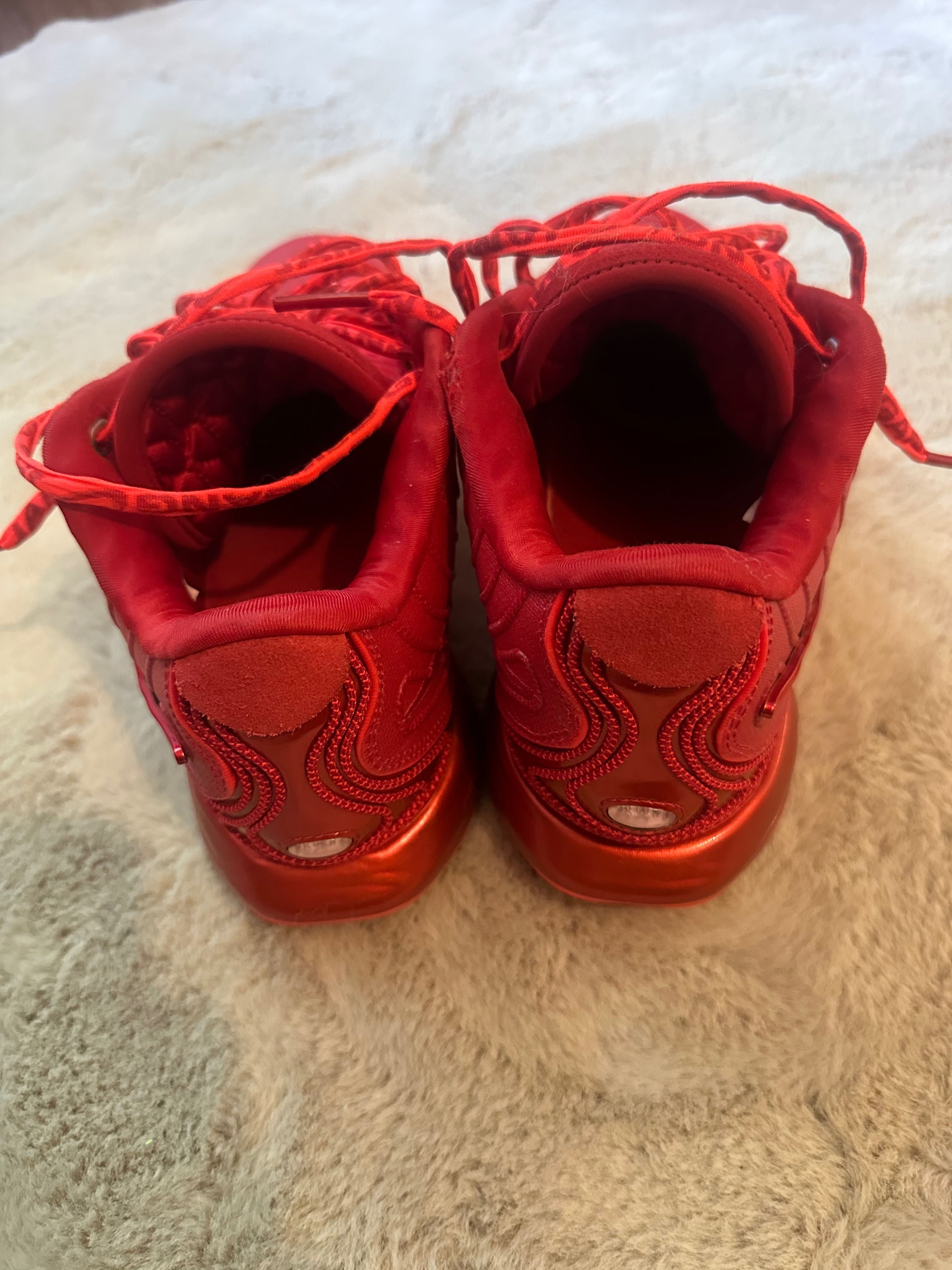 Nike LeBron 21 James Gang
