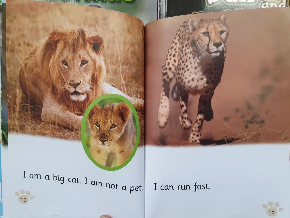 Książeczki język angielski Collins