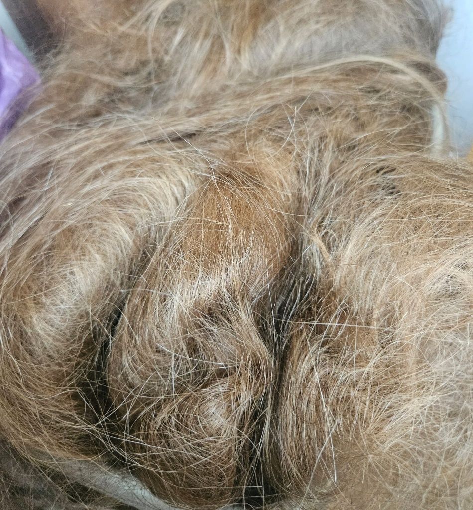 Włosy naturalne na dredy  odcienie blondu