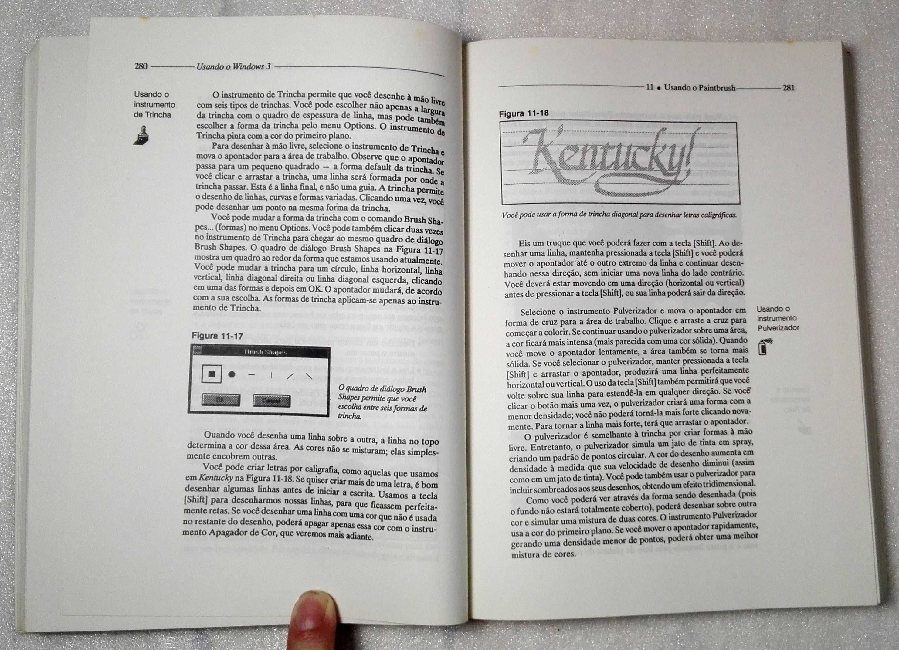 Livro Explorando Windows 3