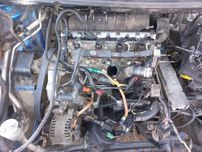 Розборка мотора Peugeot 2.0 hdi  DW10-EW10